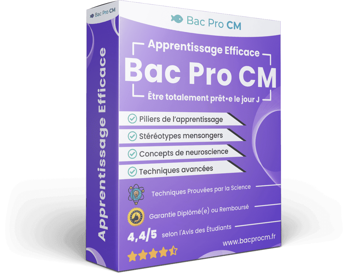 Image produit apprentissage-efficace