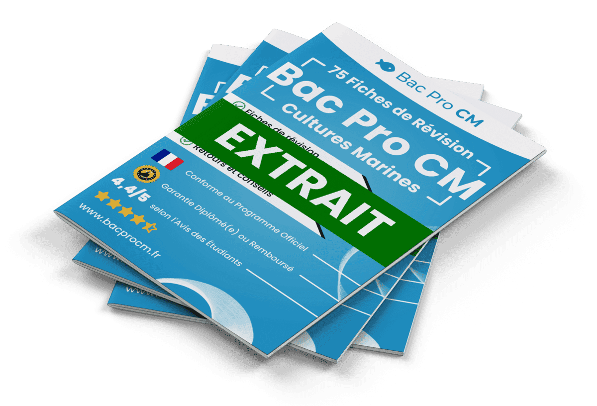 15 Fiches Révision gratuites Bac Pro CM