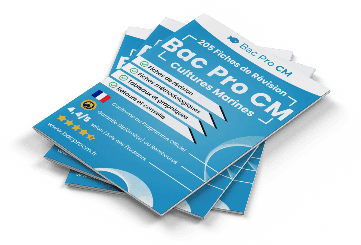 205 Fiches de Révision pour le Bac Pro CM